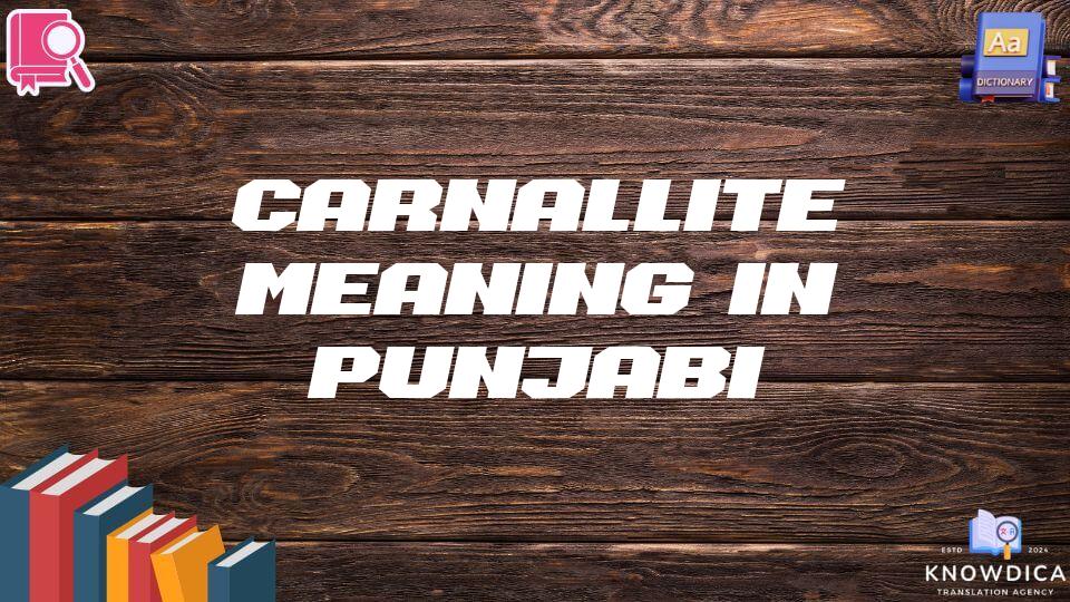 Carnallite Meaning In Punjabi