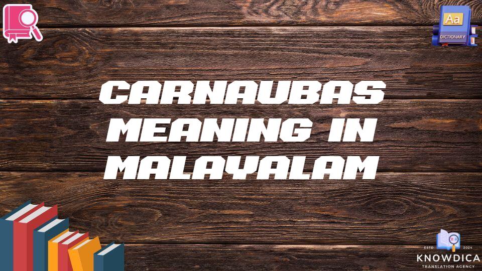 Carnaubas Meaning In Malayalam