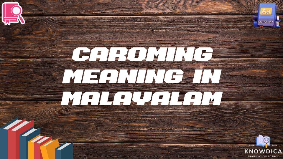 Caroming Meaning In Malayalam