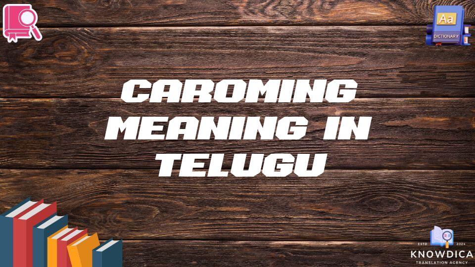 Caroming Meaning In Telugu