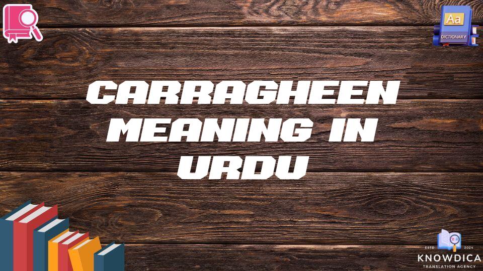 Carragheen Meaning In Urdu