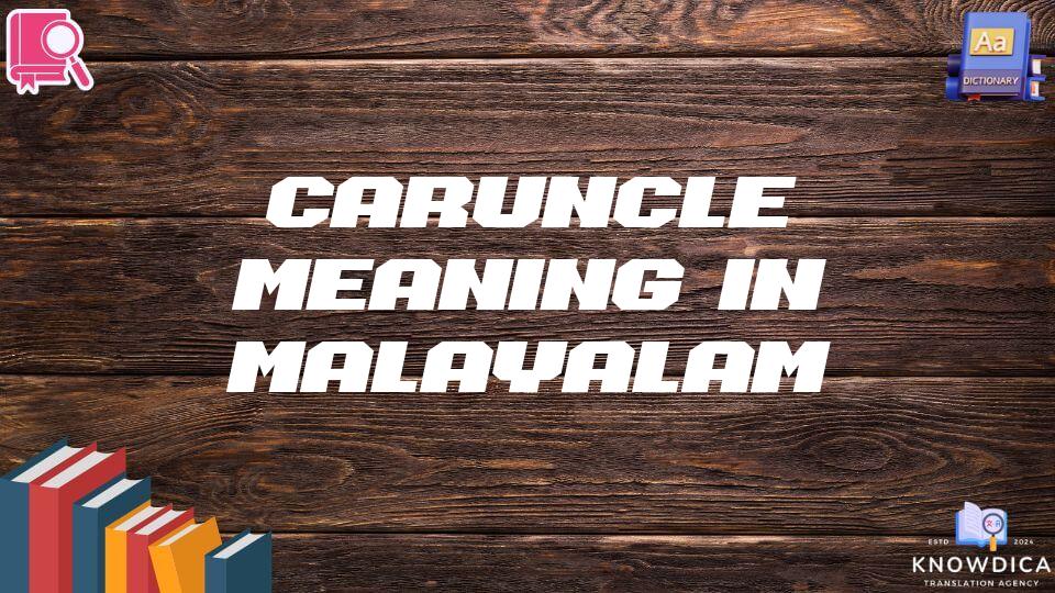 Caruncle Meaning In Malayalam