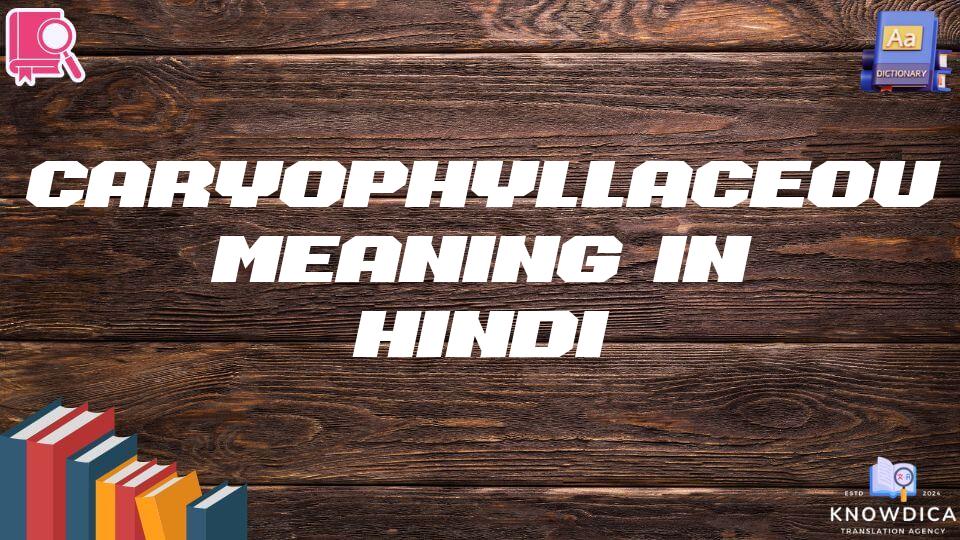 Caryophyllaceous Meaning In Hindi