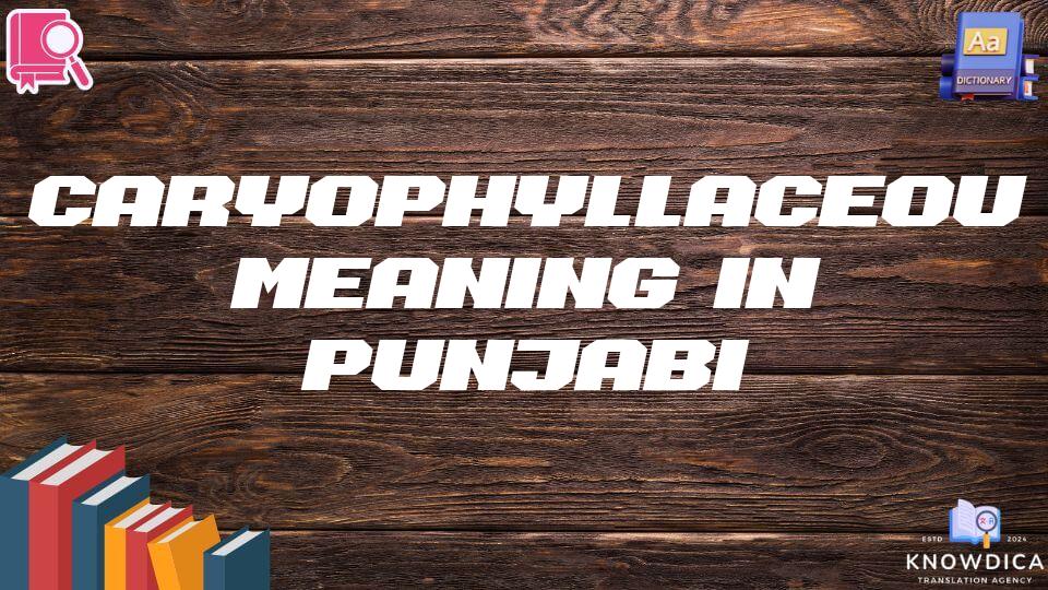 Caryophyllaceous Meaning In Punjabi