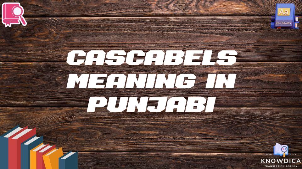 Cascabels Meaning In Punjabi