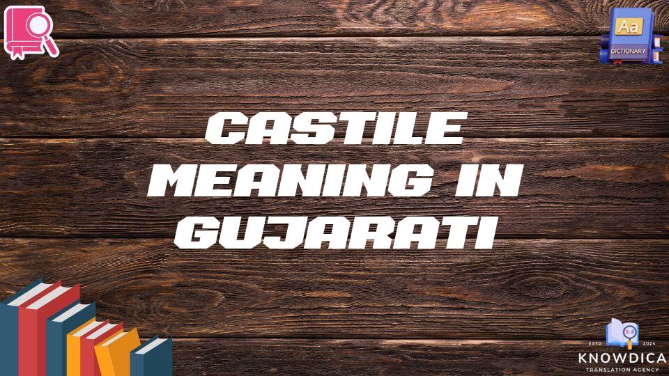 Castile Meaning In Gujarati