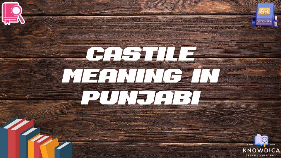 Castile Meaning In Punjabi