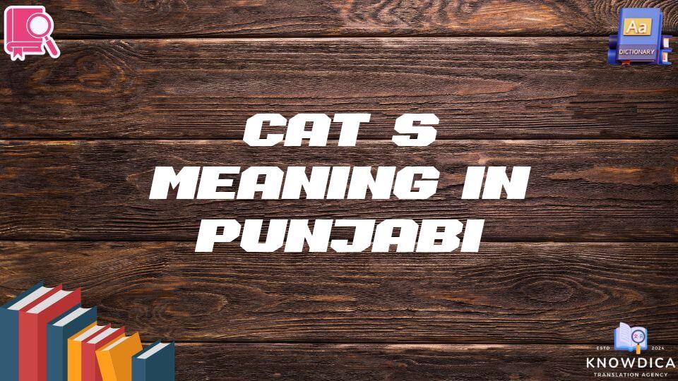 Cat’s Meaning In Punjabi