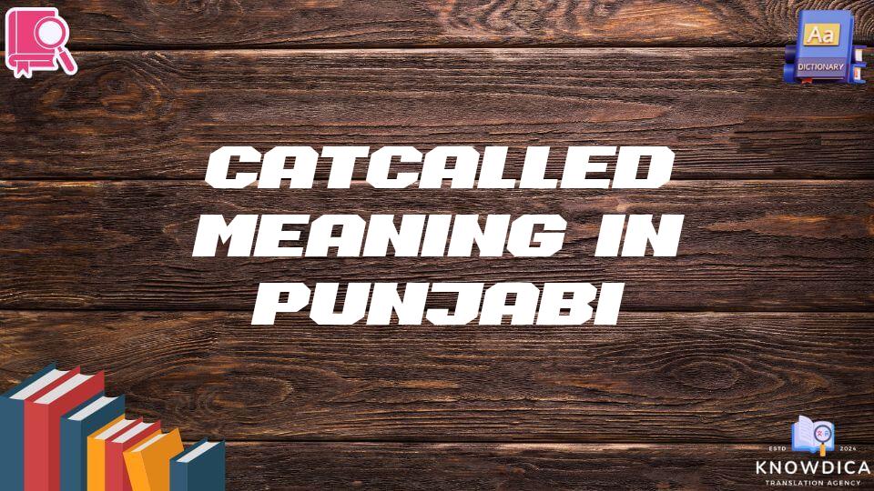 Catcalled Meaning In Punjabi