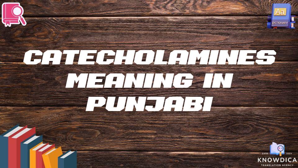 Catecholamines Meaning In Punjabi