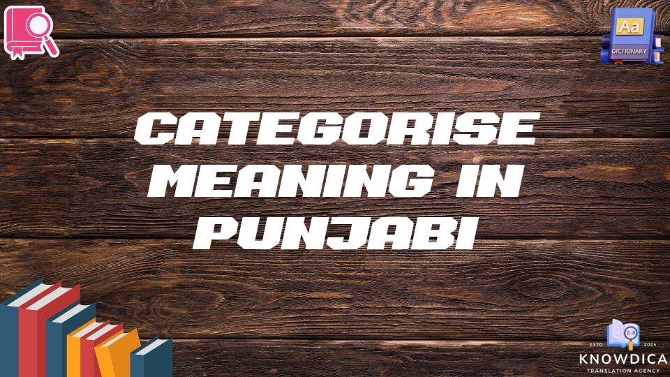 Categorise Meaning In Punjabi