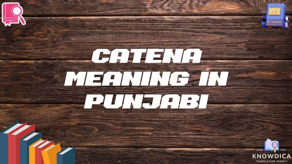 Catena Meaning In Punjabi