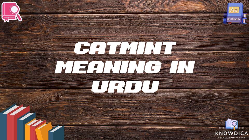 Catmint Meaning In Urdu