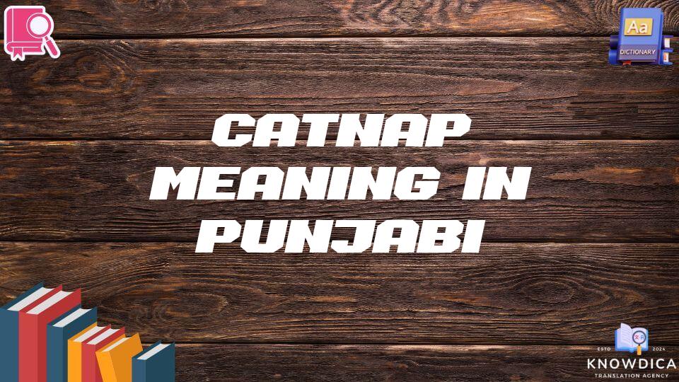 Catnap Meaning In Punjabi