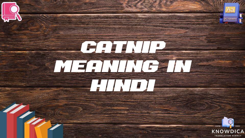 Catnip Meaning In Hindi