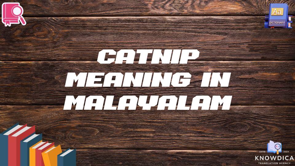 Catnip Meaning In Malayalam