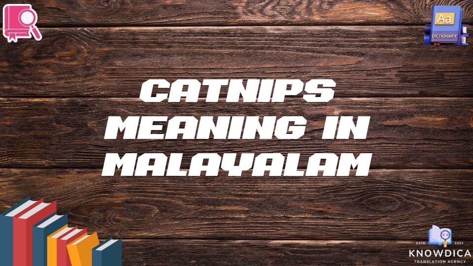 Catnips Meaning In Malayalam