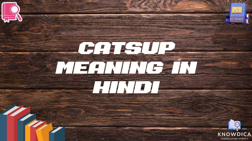 Catsup Meaning In Hindi