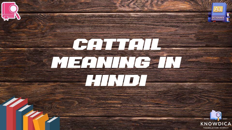 Cattail Meaning In Hindi