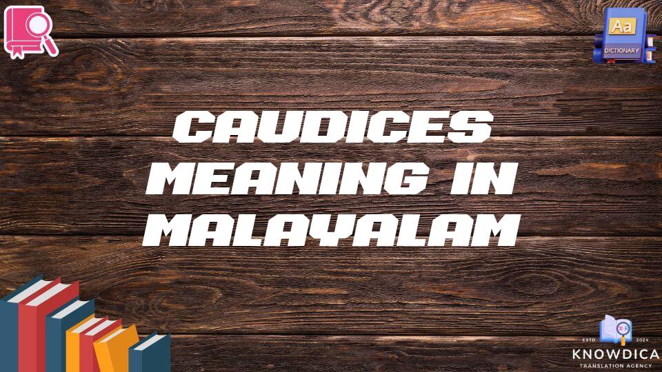 Caudices Meaning In Malayalam