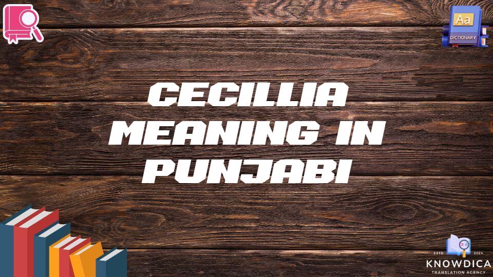 Cecillia Meaning In Punjabi