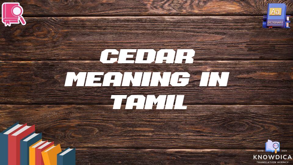 Cedar Meaning In Tamil