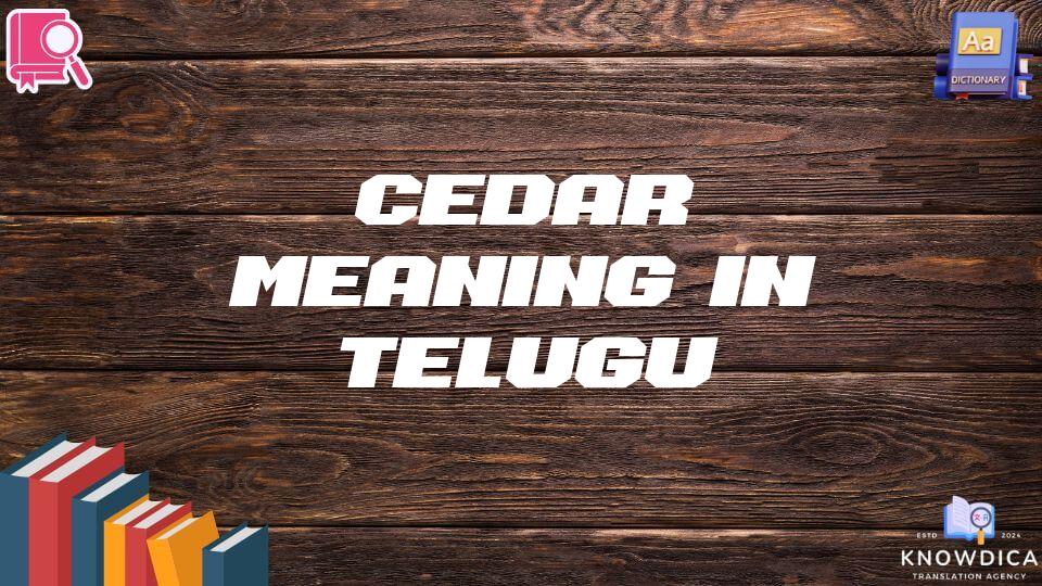 Cedar Meaning In Telugu