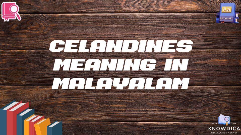 Celandines Meaning In Malayalam