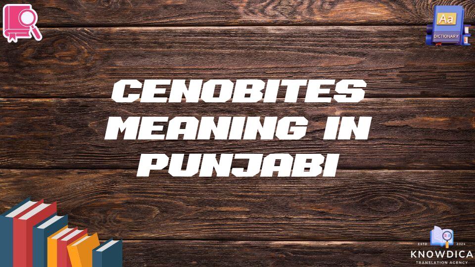 Cenobites Meaning In Punjabi