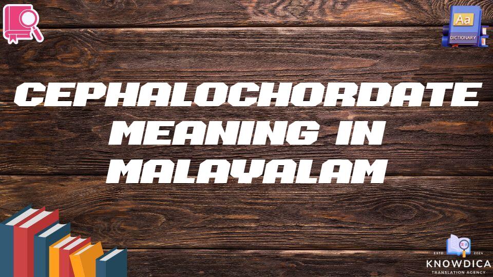 Cephalochordate Meaning In Malayalam