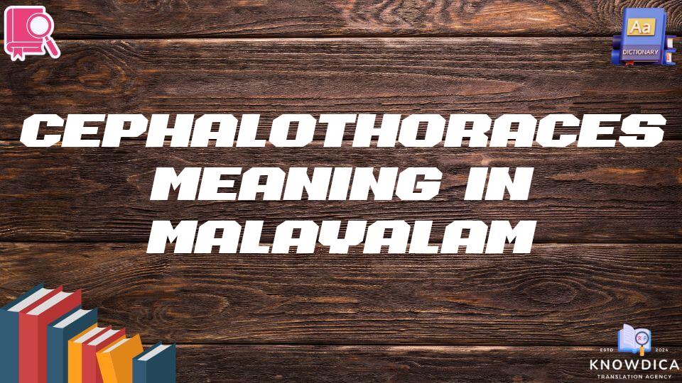 Cephalothoraces Meaning In Malayalam