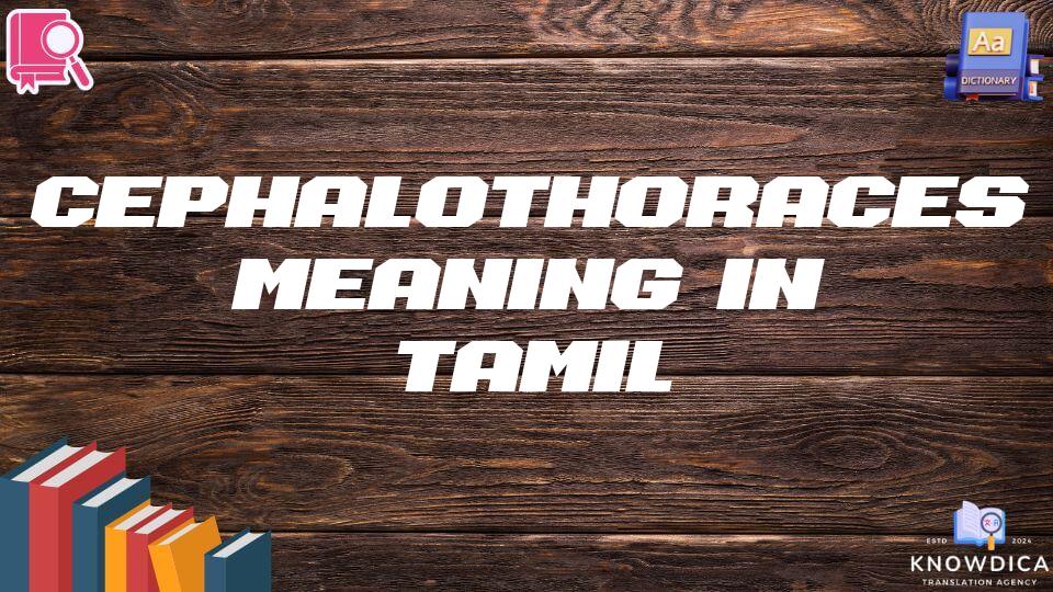 Cephalothoraces Meaning In Tamil