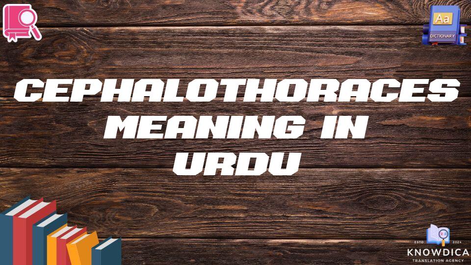 Cephalothoraces Meaning In Urdu