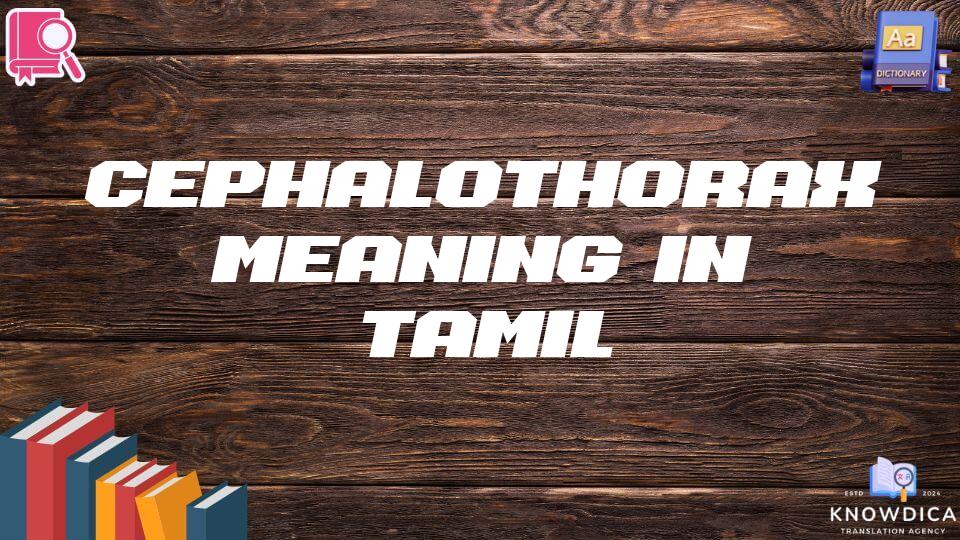 Cephalothorax Meaning In Tamil