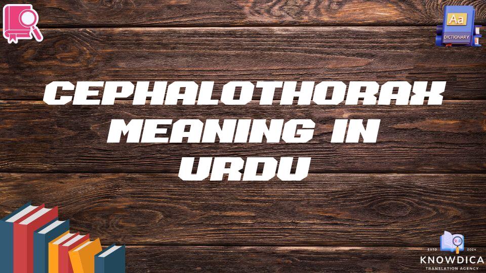 Cephalothorax Meaning In Urdu