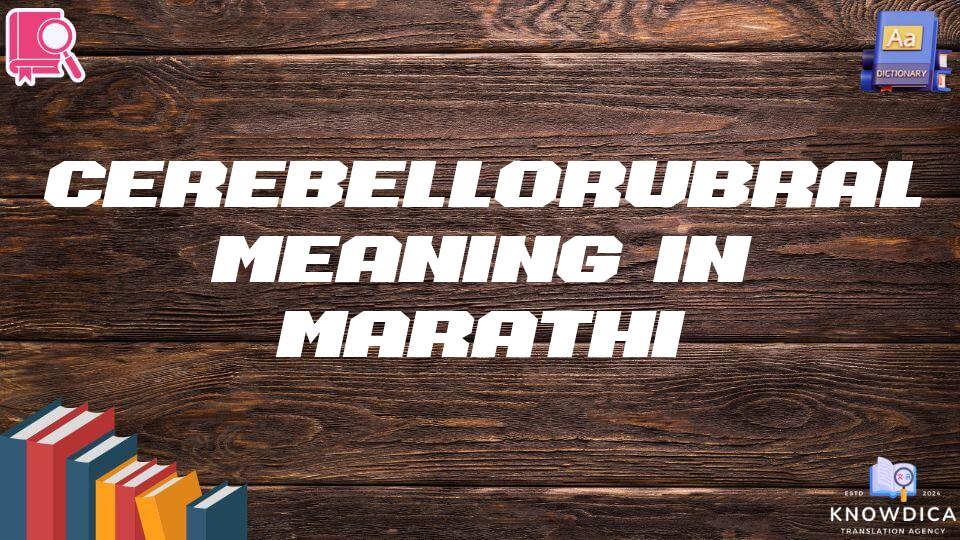 Cerebellorubral Meaning In Marathi