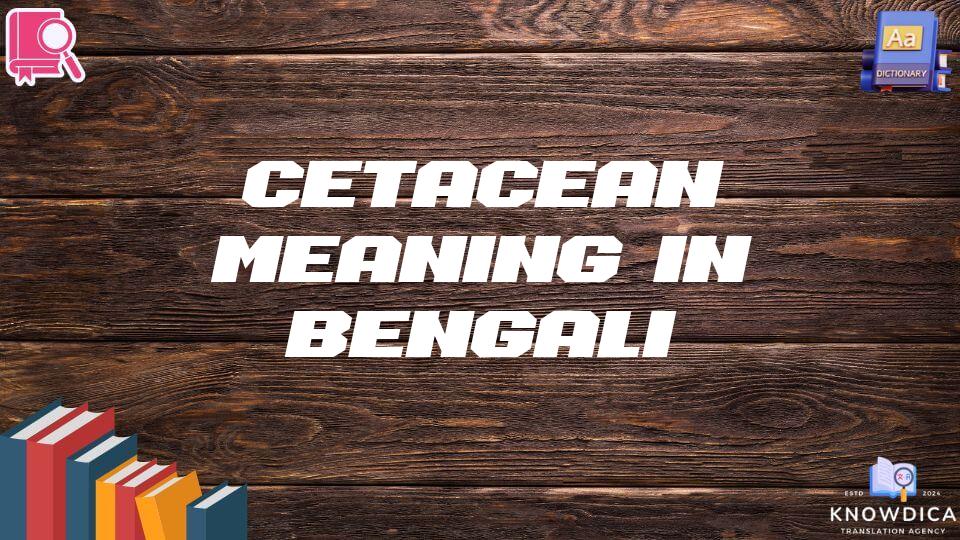 Cetacean Meaning In Bengali