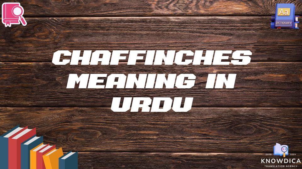 Chaffinches Meaning In Urdu