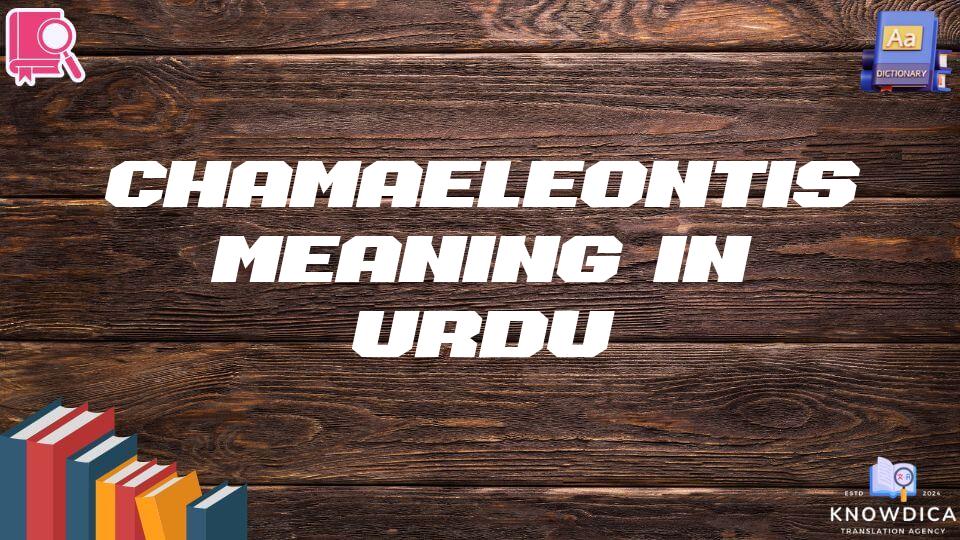 Chamaeleontis Meaning In Urdu