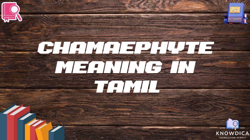 Chamaephyte Meaning In Tamil