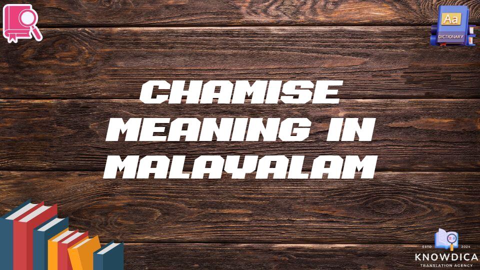 Chamise Meaning In Malayalam