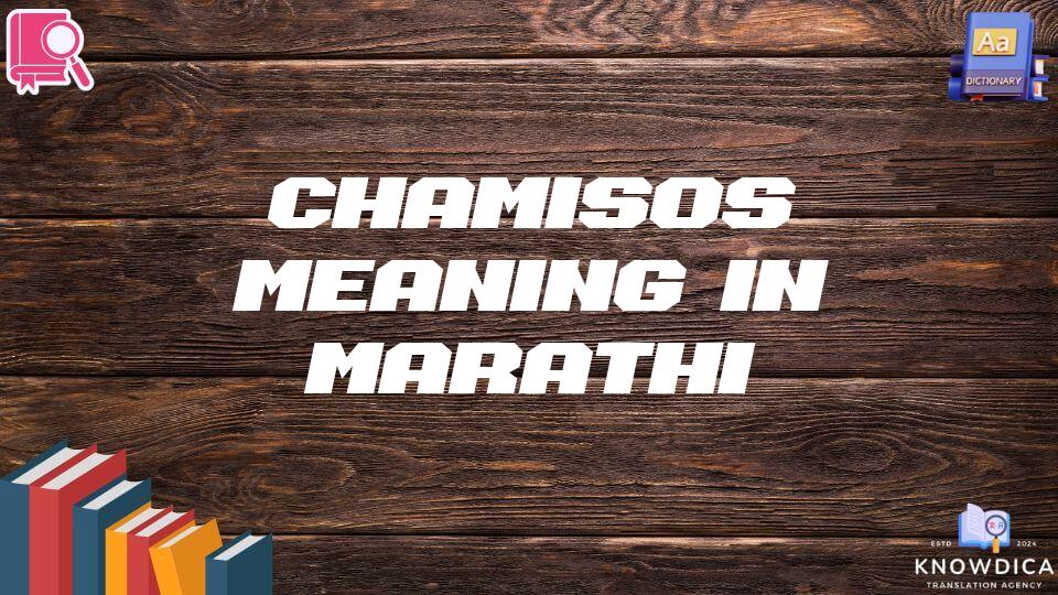 Chamisos Meaning In Marathi