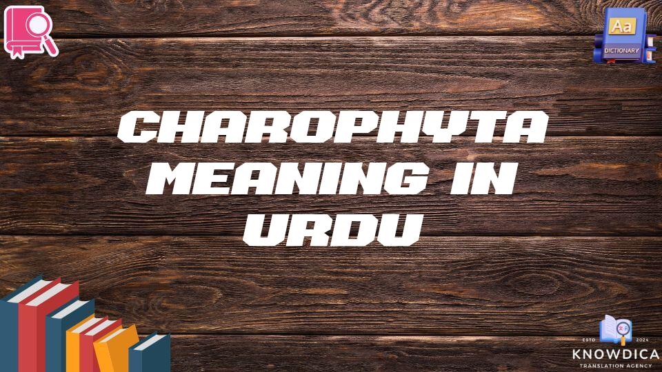 Charophyta Meaning In Urdu