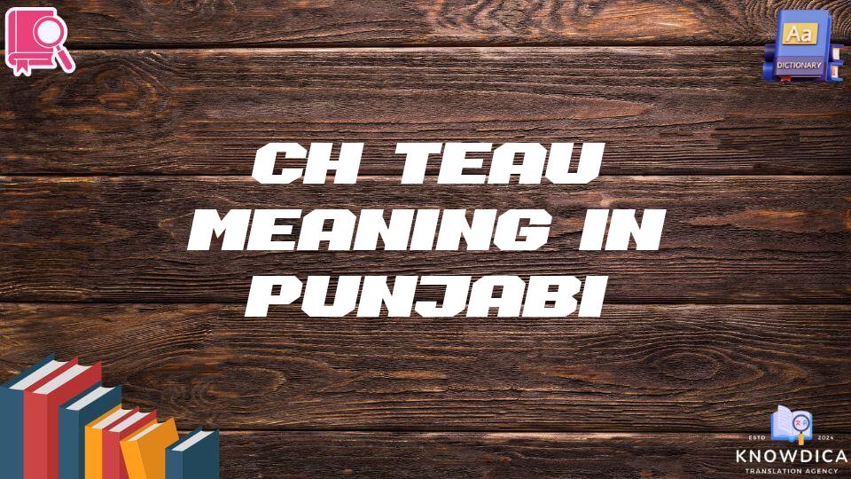 Château Meaning In Punjabi