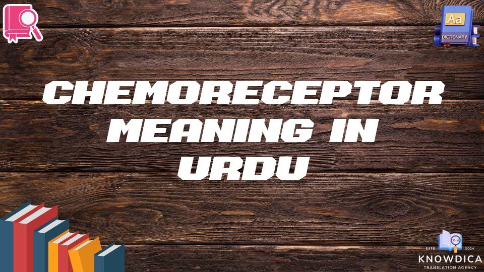 Chemoreceptor Meaning In Urdu