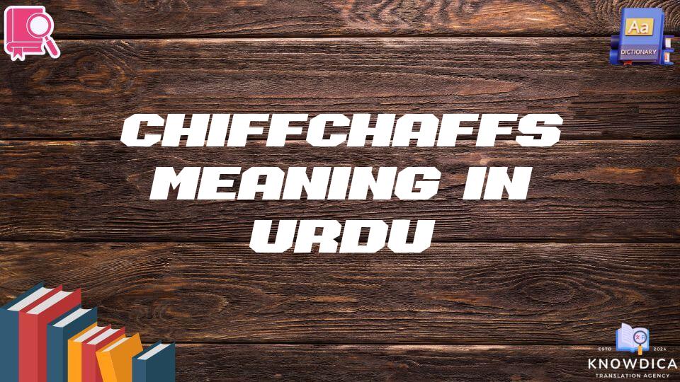 Chiffchaffs Meaning In Urdu