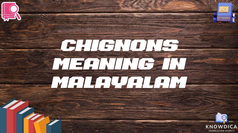 Chignons Meaning In Malayalam