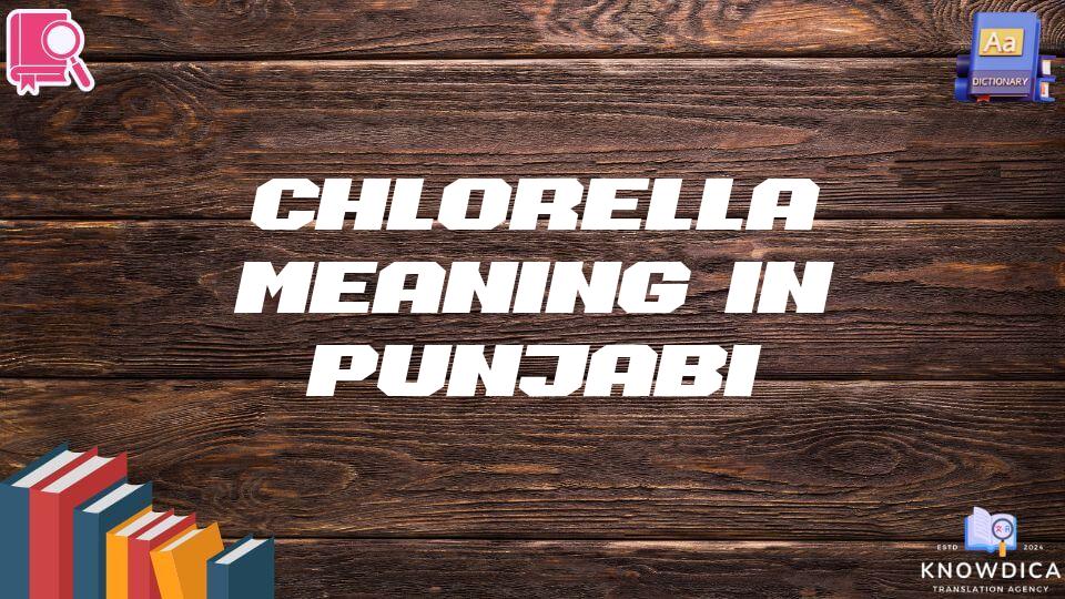 Chlorella Meaning In Punjabi