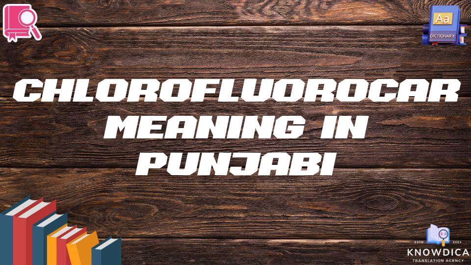 Chlorofluorocarbons Meaning In Punjabi