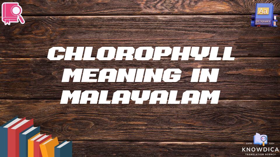 Chlorophyll Meaning In Malayalam